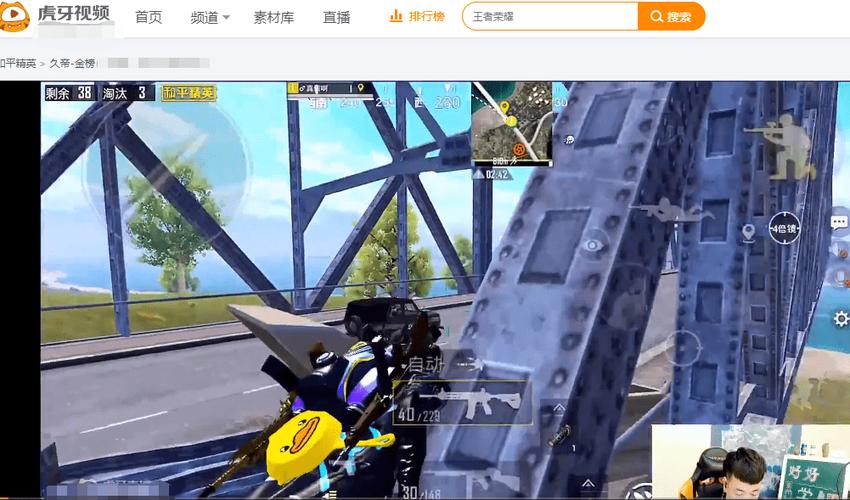 和平精英「路易威登」外挂