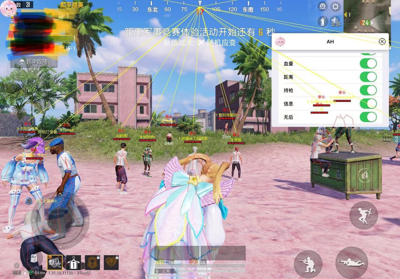 和平精英辅助【巡查员直装V1.0】人物透视 雷达预警 全车美化 枪械美化 人物加速