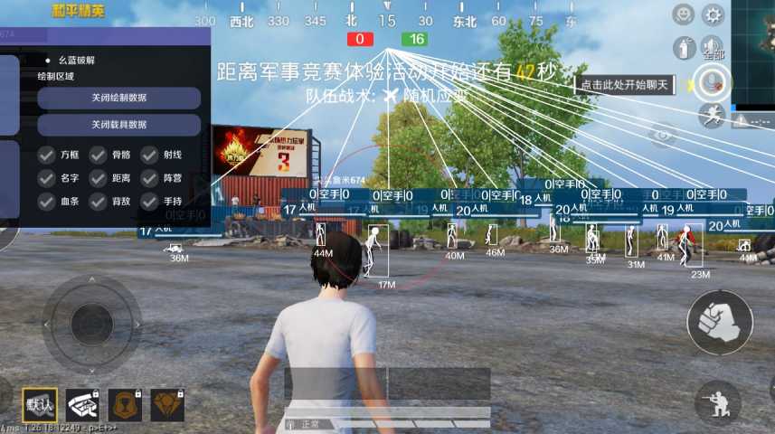 突破游戏界限:探索和平精英辅助工具的神秘世